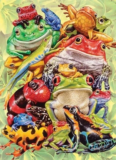 Frog Pile (350) - Familiepuzzel