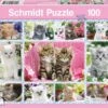 Kittens (100)