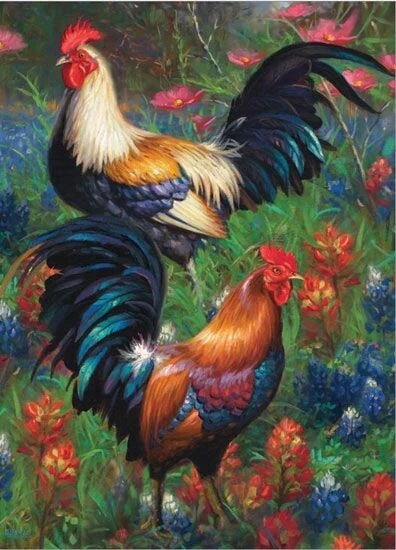Roosters (1000) - Afbeelding 2